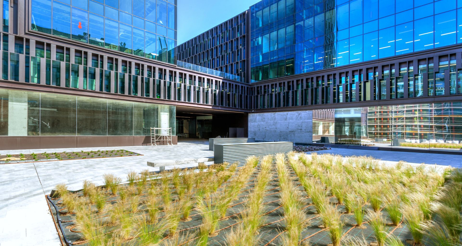 The world's most sustainable offices